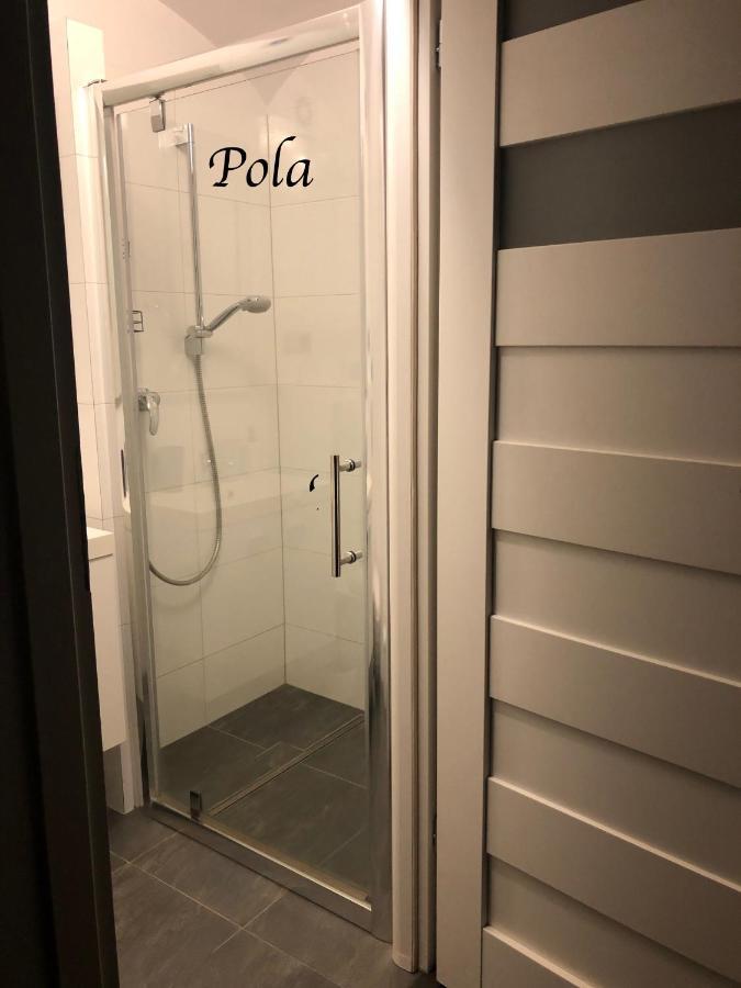 Sokolowsko Sloneczne Apartamenty מראה חיצוני תמונה