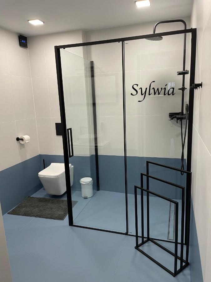 Sokolowsko Sloneczne Apartamenty מראה חיצוני תמונה
